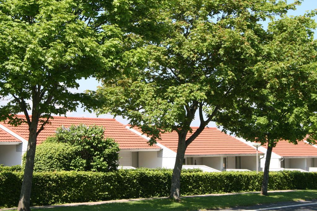 Aero Marina Villa Aeroskobing Exterior photo